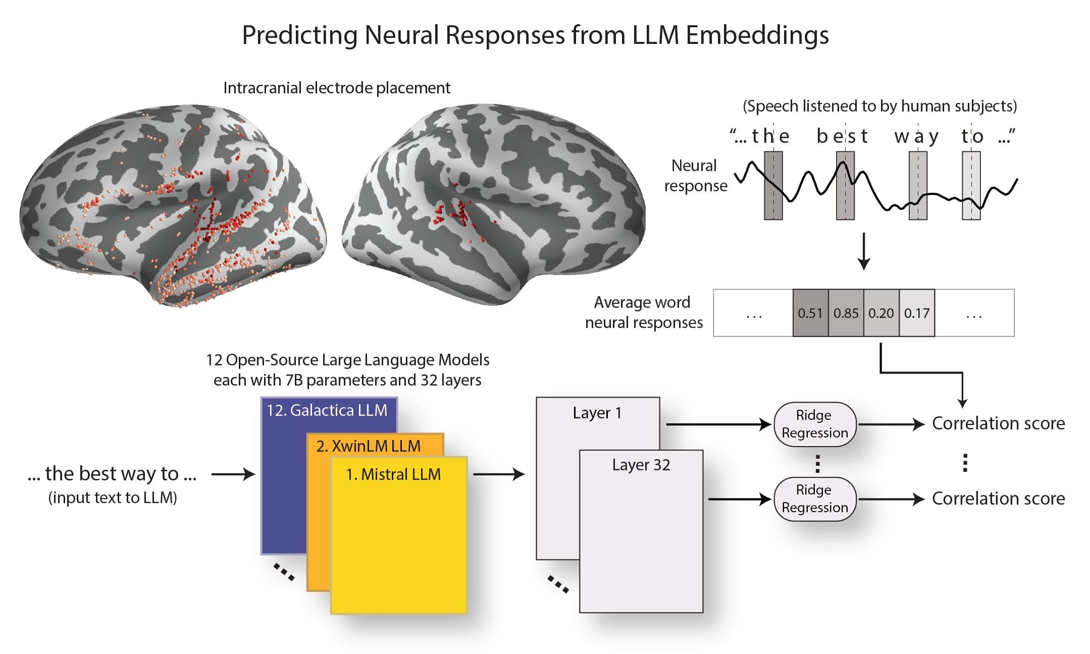 How AI Is Reshaping Our Understanding of Language Processing in the Brain