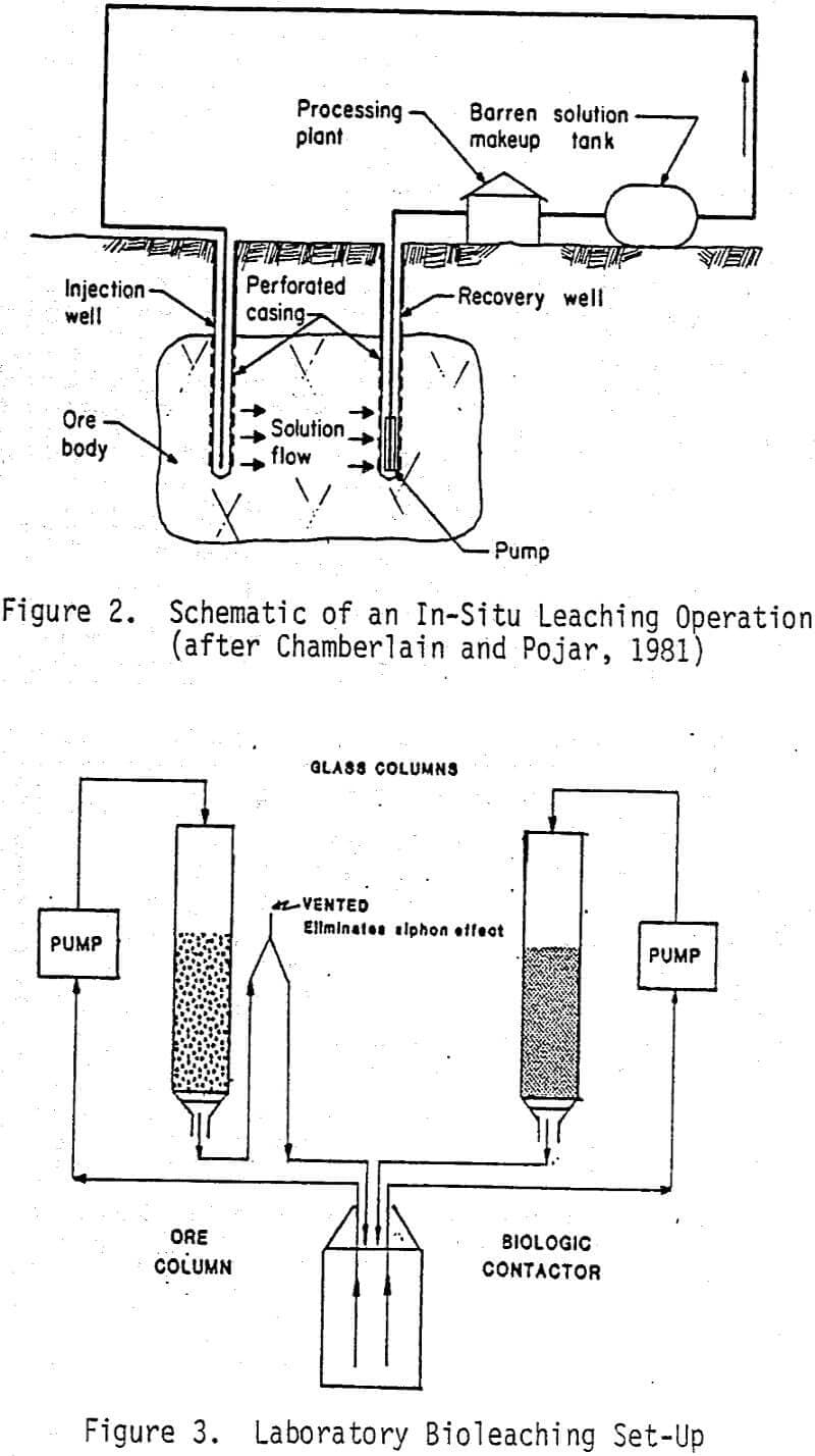 Microbial Innovations: Transforming Copper Extraction