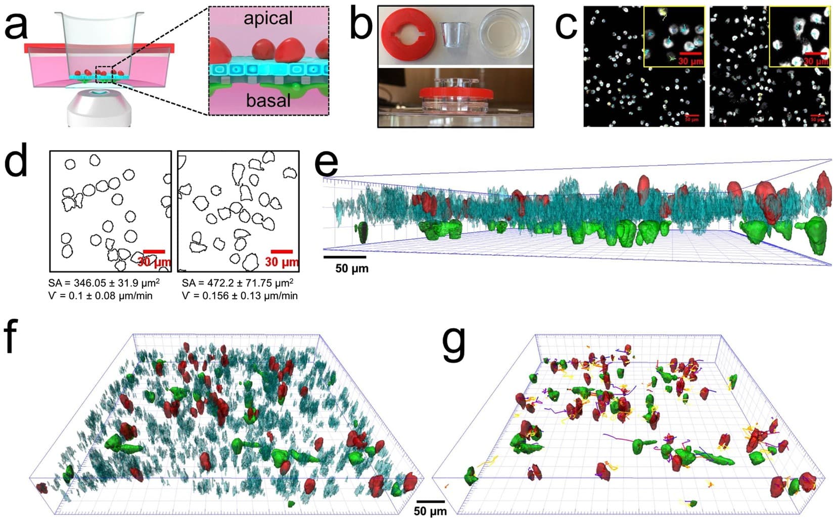 Advanced AI Analysis Platform Revolutionizes Space Sample Detection and Biosignature Identification
