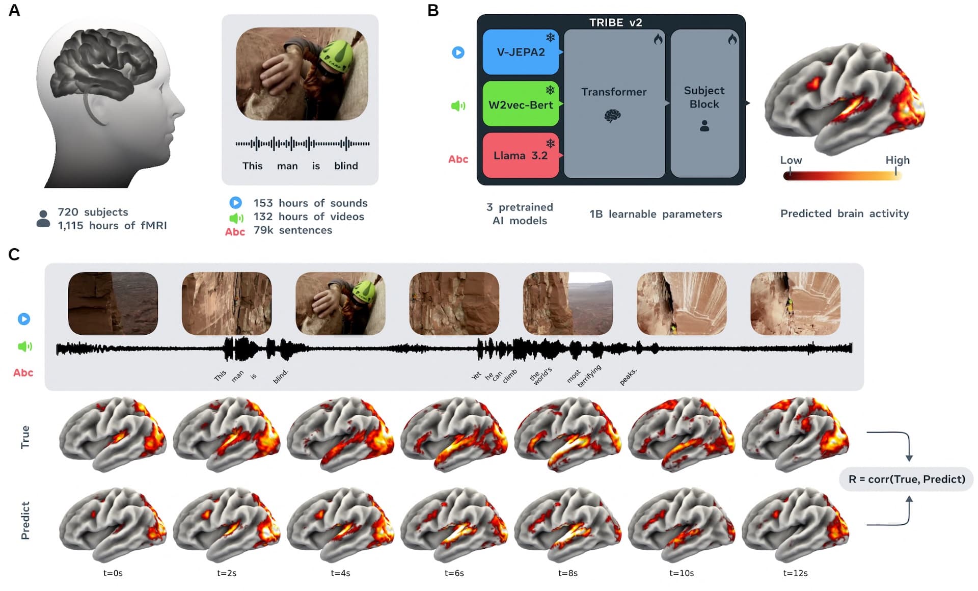 Meta's TRIBE v2 AI Model Decodes Brain Activity in Real Time