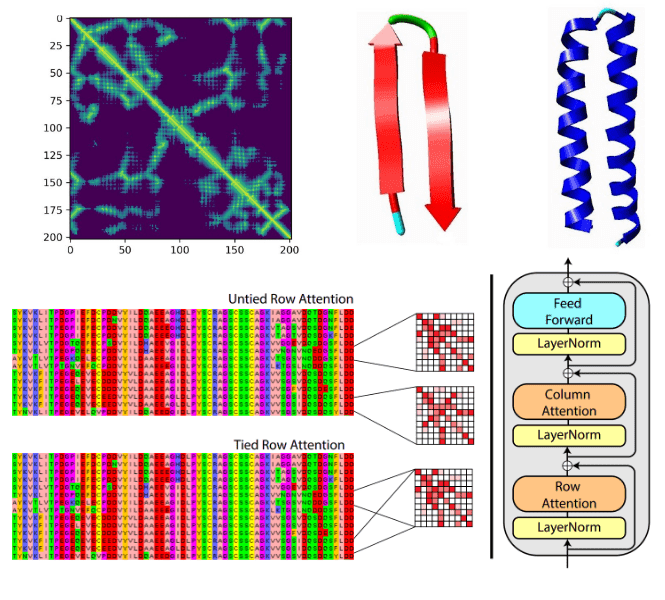 Dutch Scientists Crack Gene Regulation Code With AI Innovation