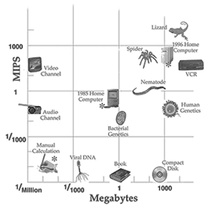 Robots Struggle with Laundry Due to Moravec's Paradox