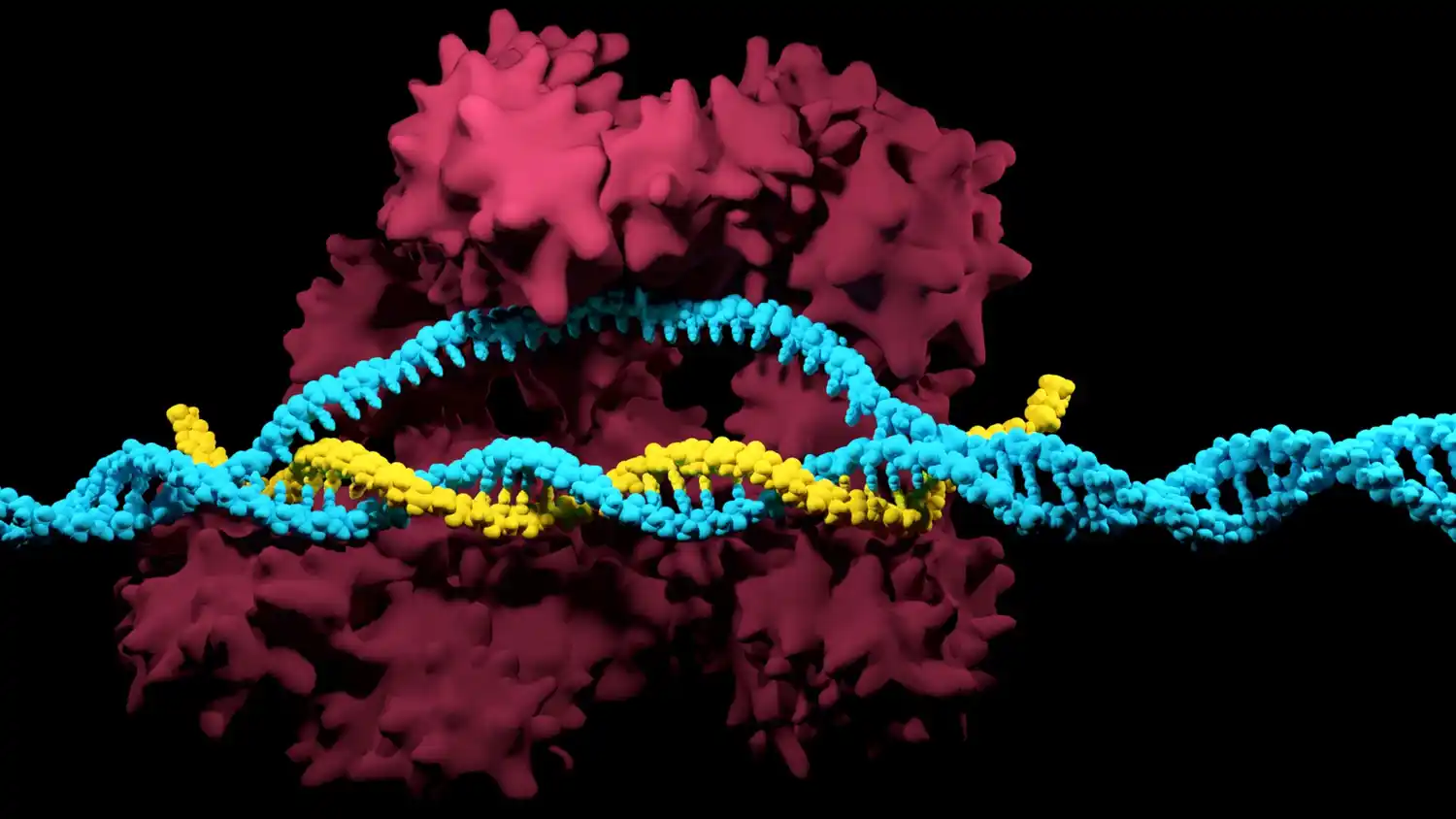 AI Designs High-Potency CRISPR Inhibitors in Eight Weeks