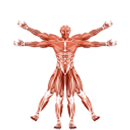 Dr. Muscle icon