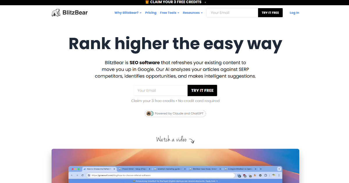 BlitzBear screenshot 1