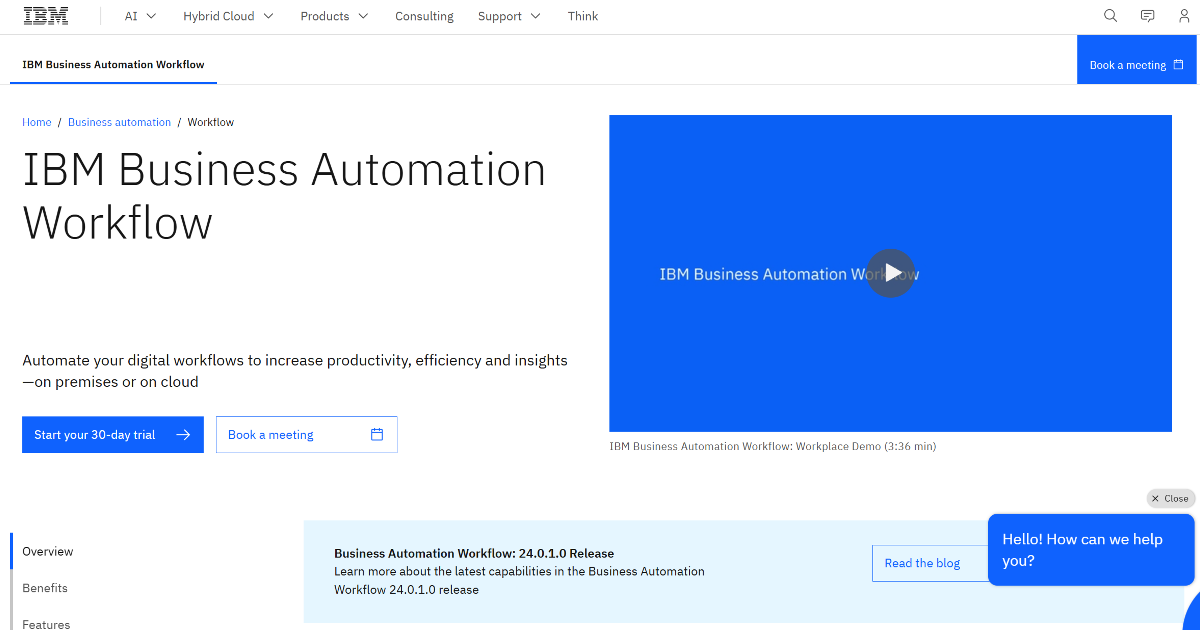 IBM BPM screenshot 1